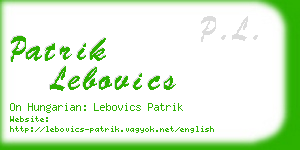 patrik lebovics business card